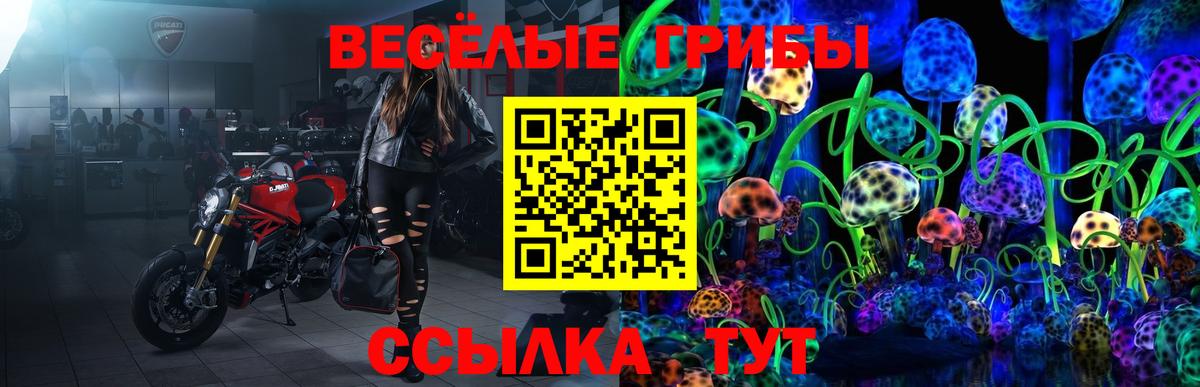 Галлюциногенные грибы Magic Shrooms Тольятти